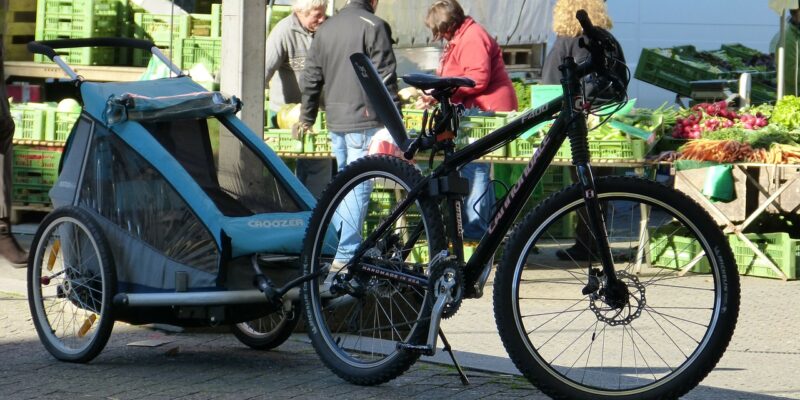 Mit Kindern unterwegs – den besten und sichersten Fahrradanhänger für Kinder finden