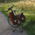 Fahrradfahren mit Hund: Dies gilt es zu beachten!